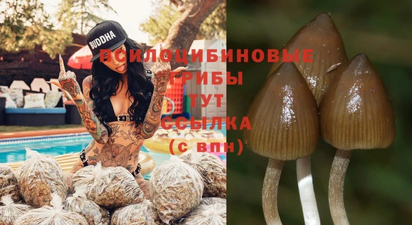 хмурый Балабаново