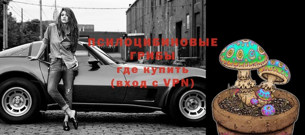 хмурый Балабаново