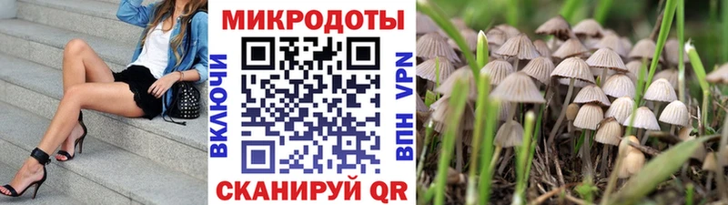 Галлюциногенные грибы GOLDEN TEACHER  Нижнеудинск 